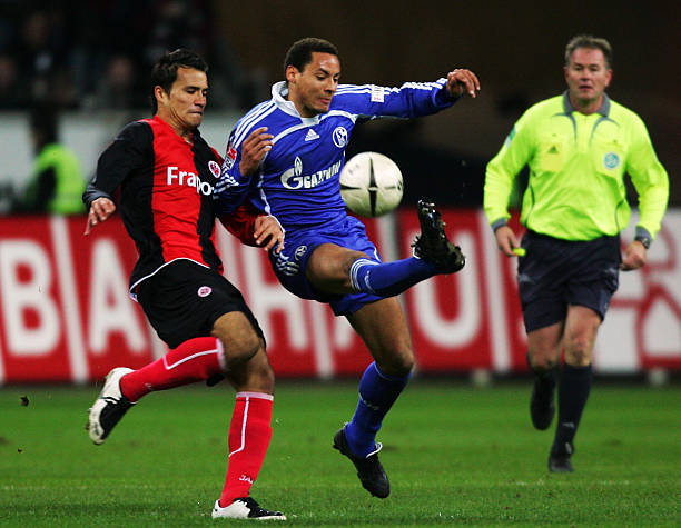 显然是为了 显然是为了