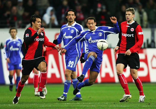 他的成长历 他的成长历